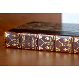 G Data: Zašto se Darvinova teorija može primeniti na evoluciju malvera